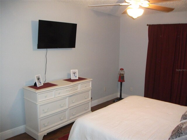 12411 Brookside St, Spring Hill, FL 34609 - photo 14