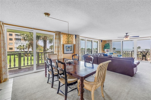 6600 Sunset Way Unit 118, St Pete Beach, FL 33706 - photo 10