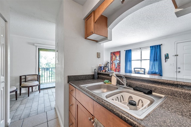 10195 Sailwinds Blvd N Unit 208, Largo, FL 33773 - kitchen with a textured ceiling, plenty of natural light, dark countertops, brown cabinetry, and ornamental molding