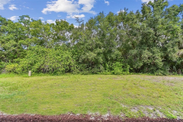 9936 62nd St N, Pinellas Park, FL 33782 - photo 14