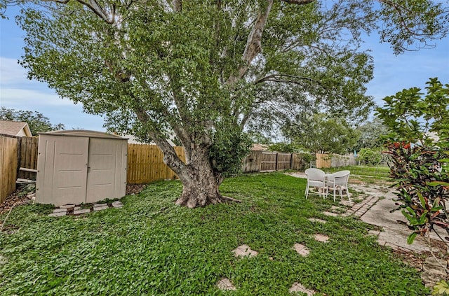 4143 Gray Squirrel Ln, New Port Richey, FL 34653 - fenced backyard with a shed