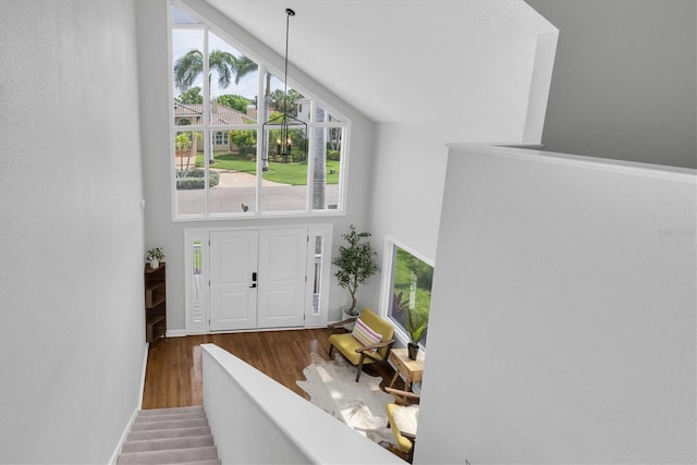748 Nina Dr, Tierra Verde, FL 33715 - photo 21