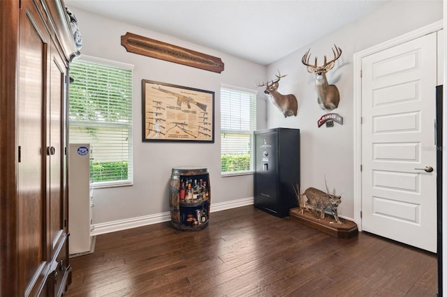 6007 Quartz Lake Way, Lithia, FL 33547 - entryway with healthy amount of natural light and dark wood-style floors