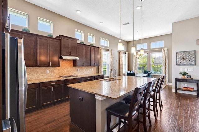 6007 Quartz Lake Way, Lithia, FL 33547 - kitchen featuring stainless steel appliances, under cabinet range hood, healthy amount of natural light, dark wood-style floors, and a high ceiling