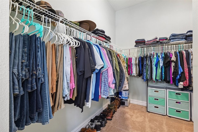 6007 Quartz Lake Way, Lithia, FL 33547 - walk in closet with carpet floors