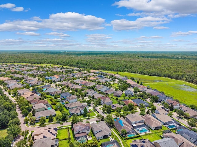 6007 Quartz Lake Way, Lithia, FL 33547 - aerial view of residential area featuring a heavily wooded area