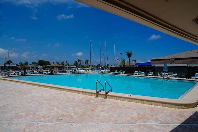 4252 Floramar Ter, New Port Richey, FL 34652 - community pool with a patio area