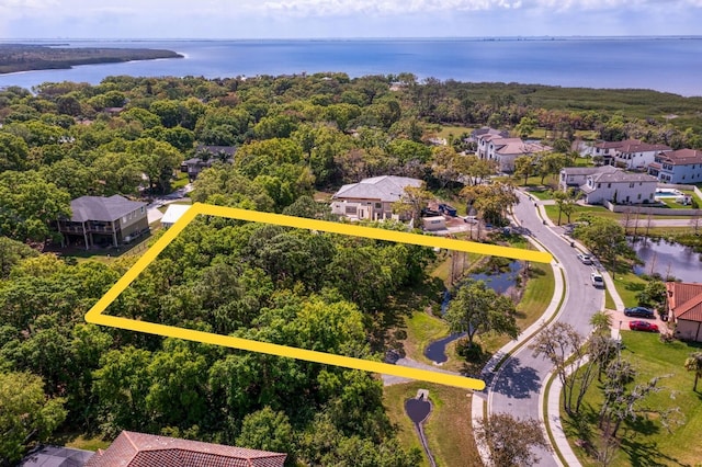 7849 Marsh Pointe Dr, Tampa, FL 33635 - aerial perspective of suburban area featuring a large body of water and property parcel outlined