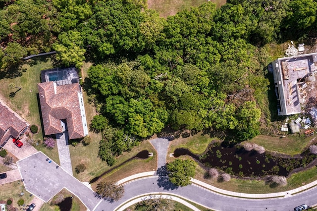 7849 Marsh Pointe Dr, Tampa, FL 33635 - bird's eye view