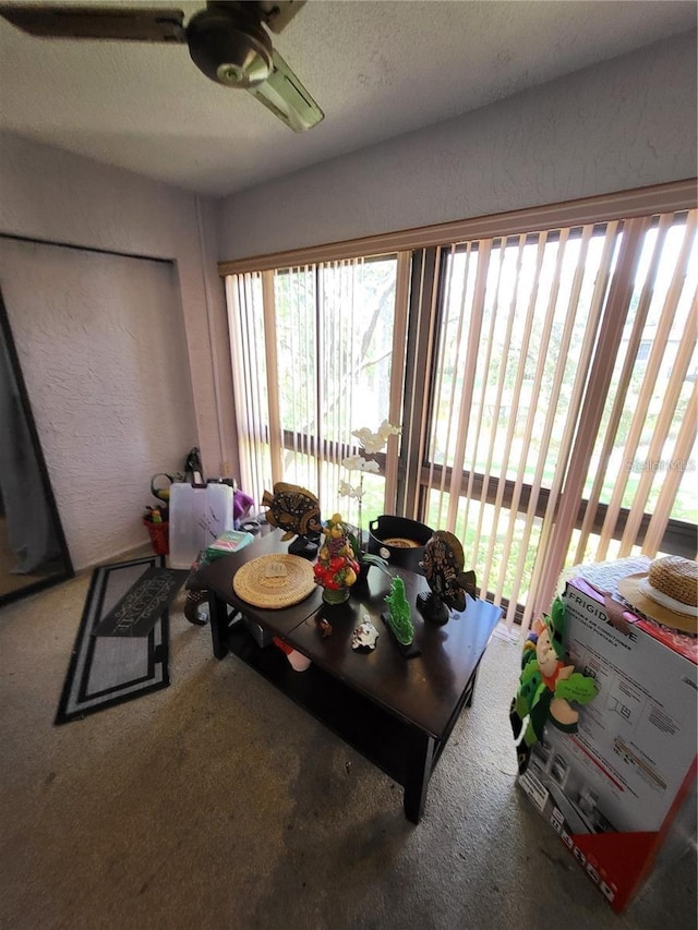2685 Sabal Springs Cir Unit 202, Clearwater, FL 33761 - carpeted living room with ceiling fan, a textured wall, and a textured ceiling