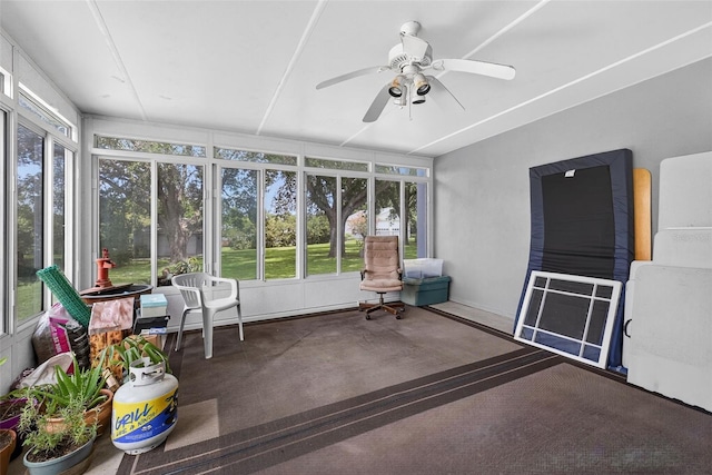 11001 Ridgedale Rd, Temple Terrace, FL 33617 - photo 41