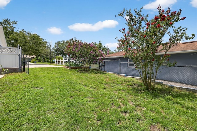 11001 Ridgedale Rd, Temple Terrace, FL 33617 - photo 45
