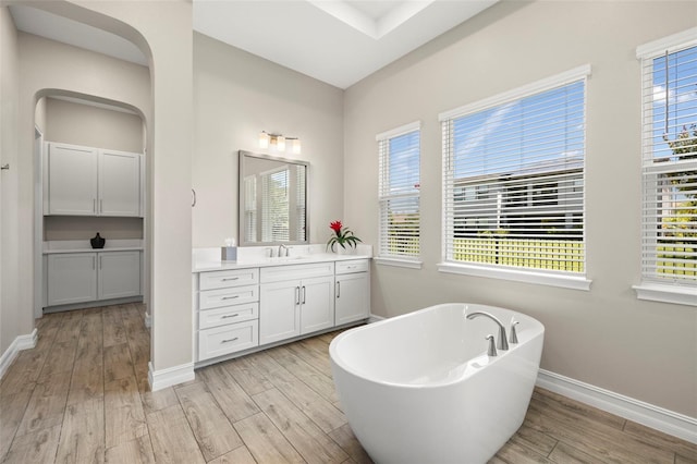 2839 Cordoba Ranch Blvd, Lutz, FL 33559 - bathroom with a freestanding bath, vanity, wood finished floors, and plenty of natural light