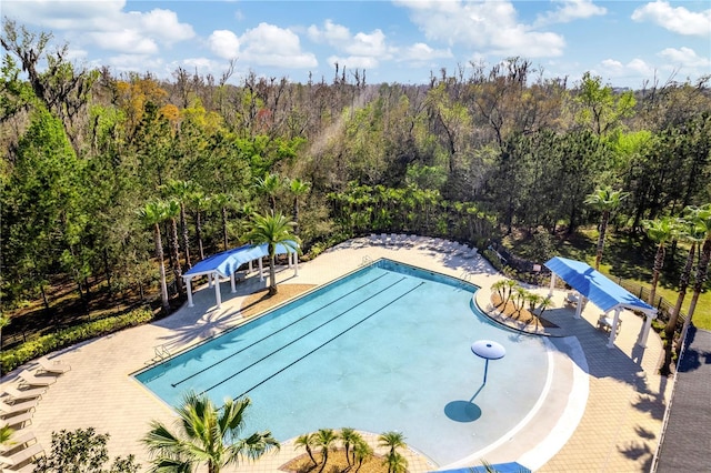 2839 Cordoba Ranch Blvd, Lutz, FL 33559 - community pool with a view of trees