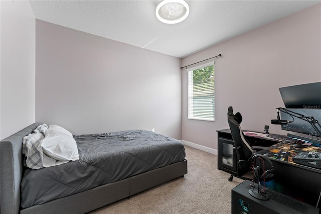 11325 78th St E, Parrish, FL 34219 - photo 42