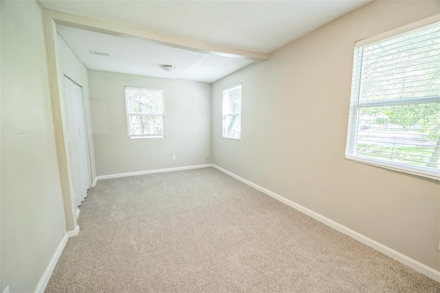3134 Greenfield Cir, Jacksonville, FL 32216 - photo 16