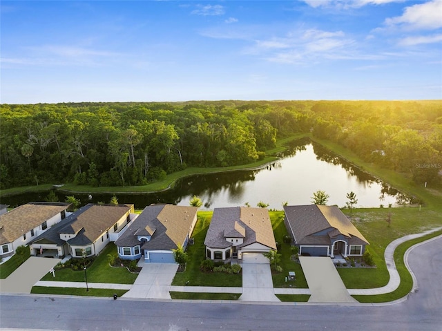 11597 Weaver Hollow Rd, New Port Richey, FL 34654 - bird's eye view of a forest and a large body of water