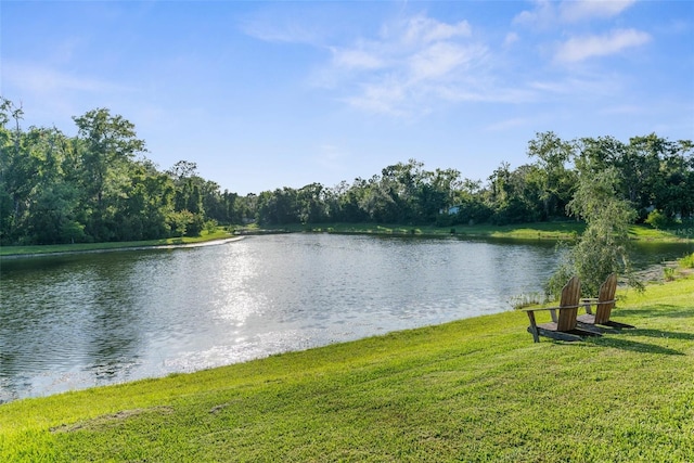 11597 Weaver Hollow Rd, New Port Richey, FL 34654 - water view with a heavily wooded area