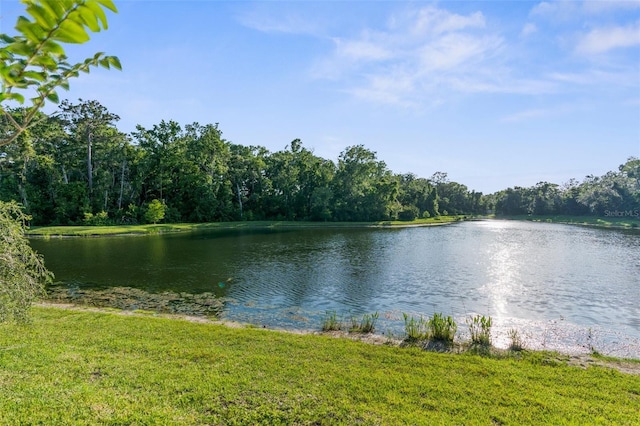 11597 Weaver Hollow Rd, New Port Richey, FL 34654 - water view with a forest
