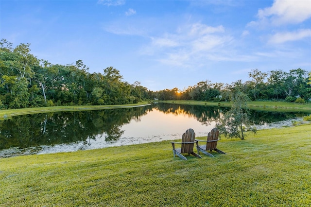 11597 Weaver Hollow Rd, New Port Richey, FL 34654 - water view with a forest