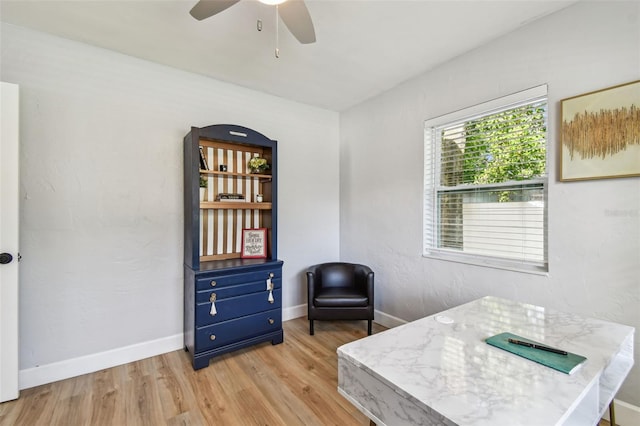 508 38th Ave N, Saint Petersburg, FL 33704 - photo 21