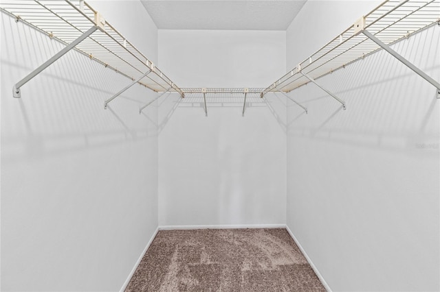 5785 Gardens Dr, Sarasota, FL 34243 - walk in closet with carpet
