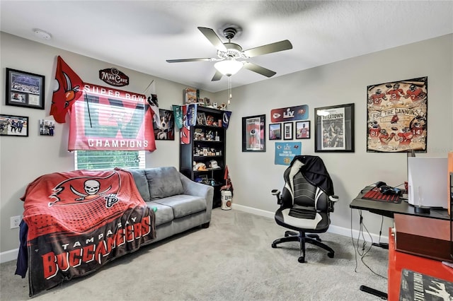 2155 Cerulean Sky Dr, Lutz, FL 33558 - photo 27