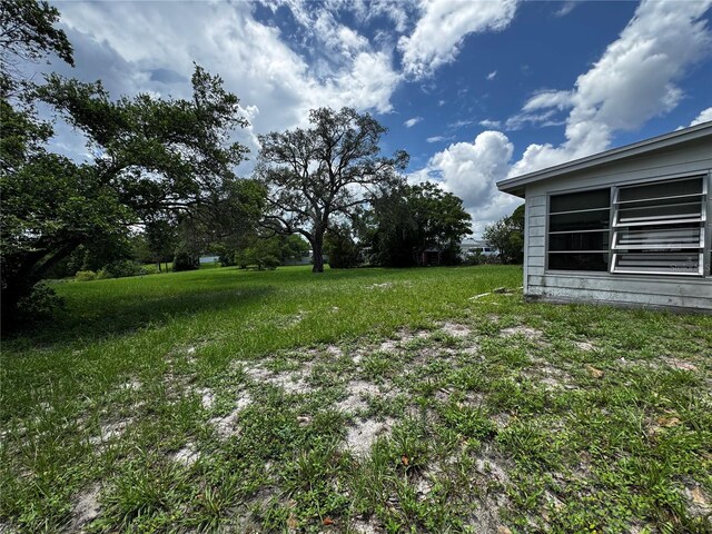 1106 Trellis Ave, Spring Hill, FL 34606 - view of yard