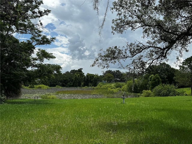 1106 Trellis Ave, Spring Hill, FL 34606 - view of yard
