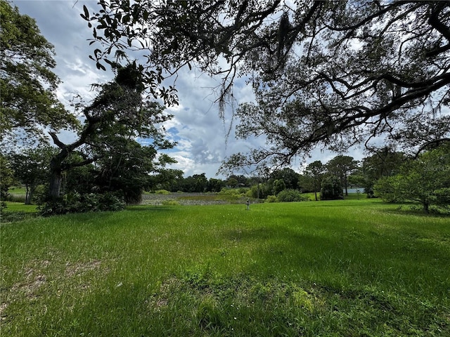 1106 Trellis Ave, Spring Hill, FL 34606 - view of yard