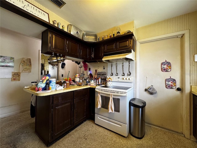 1106 Trellis Ave, Spring Hill, FL 34606 - kitchen with white electric stove, under cabinet range hood, light countertops, and dark brown cabinets