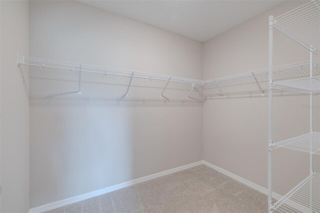 5329 Senza Trl, Palmetto, FL 34221 - photo 26