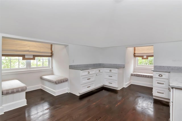 6220 Bayshore Blvd, Tampa, FL 33611 - interior space featuring dark wood-style floors