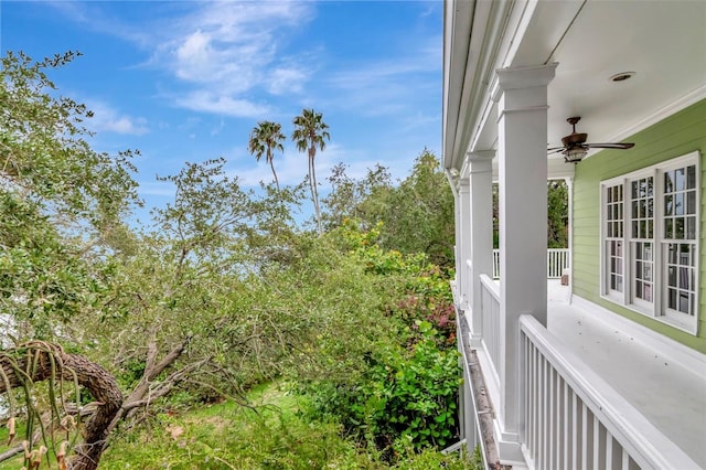 6220 Bayshore Blvd, Tampa, FL 33611 - view of yard featuring a ceiling fan