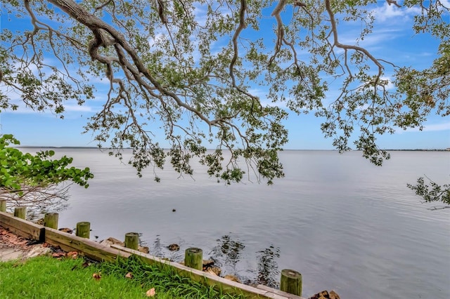 6220 Bayshore Blvd, Tampa, FL 33611 - water view