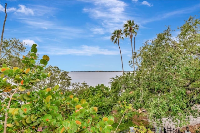 6220 Bayshore Blvd, Tampa, FL 33611 - water view