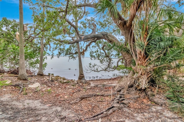 6220 Bayshore Blvd, Tampa, FL 33611 - water view