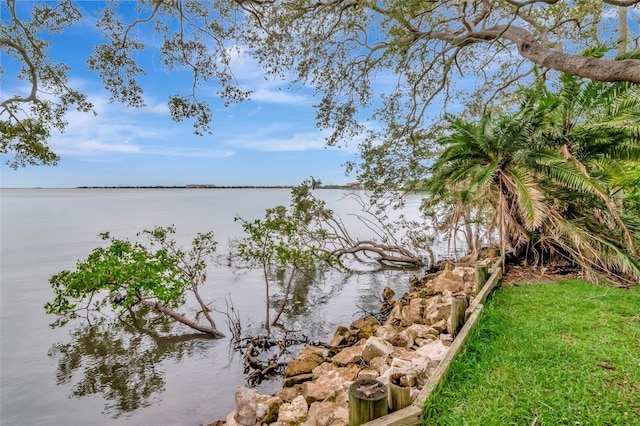 6220 Bayshore Blvd, Tampa, FL 33611 - water view