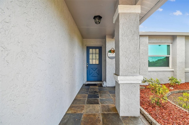 4108 Woodtrail Blvd, New Port Richey, FL 34653 - view of exterior entry with stucco siding