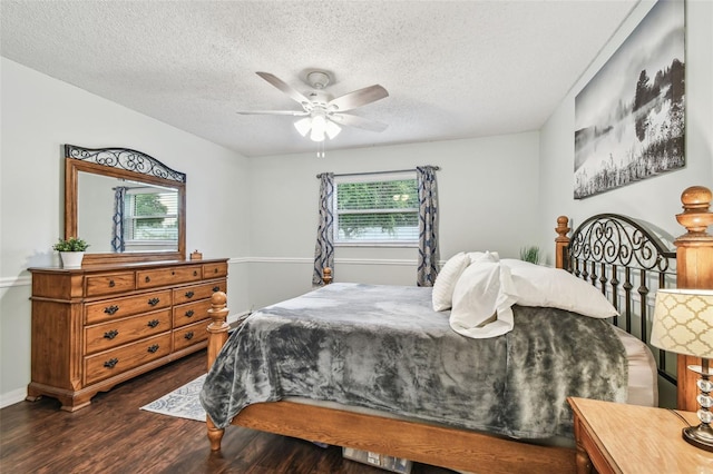 4108 Woodtrail Blvd, New Port Richey, FL 34653 - bedroom featuring multiple windows, dark wood finished floors, a textured ceiling, and a ceiling fan
