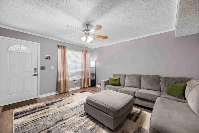 3350 Fox Hunt Dr, Palm Harbor, FL 34683 - living room featuring a textured ceiling, ceiling fan, wood finished floors, and ornamental molding