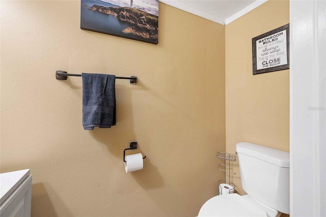 3350 Fox Hunt Dr, Palm Harbor, FL 34683 - bathroom with vanity and ornamental molding