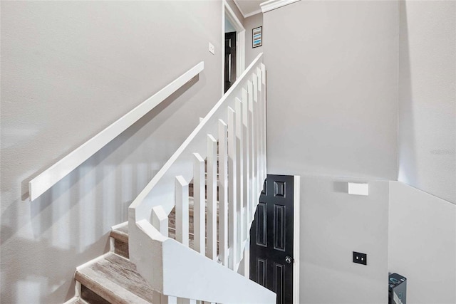 3350 Fox Hunt Dr, Palm Harbor, FL 34683 - stairway with ornamental molding