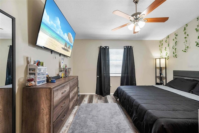 3350 Fox Hunt Dr, Palm Harbor, FL 34683 - bedroom with wood finished floors and ceiling fan