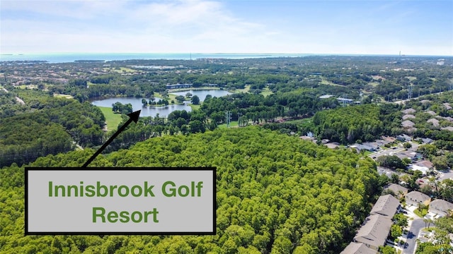 3350 Fox Hunt Dr, Palm Harbor, FL 34683 - bird's eye view of a nearby body of water and a heavily wooded area