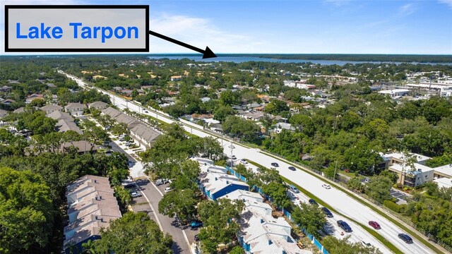 3350 Fox Hunt Dr, Palm Harbor, FL 34683 - aerial view