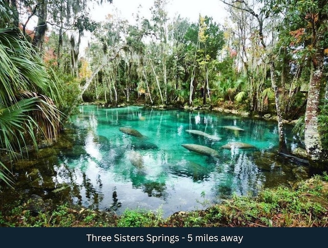 6692 W Rainhill Ct Unit 7, Crystal River, FL 34429
