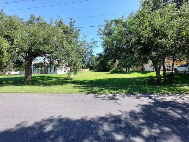 Waldo, Dade City, FL 33525 - photo 1