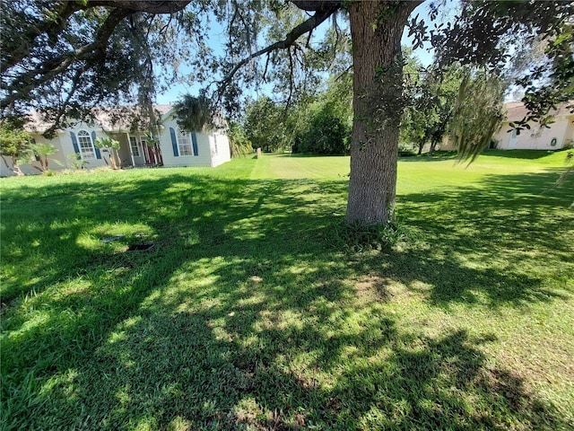 Waldo, Dade City, FL 33525 - photo 2