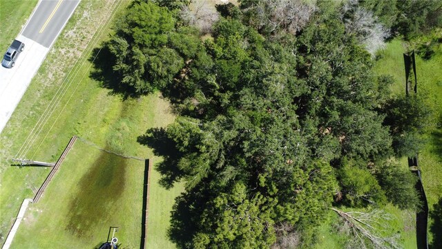 Waldo, Dade City, FL 33525 - photo 8